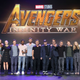 Some, but not all, of the cast of Avengers: Infinity War at the D23 Expo in 2017.